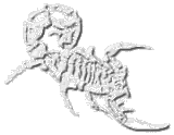 uwefabricius.de