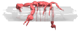 Skorpion